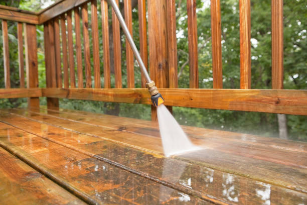 Best Roof Pressure Washing  in Raymond, WA